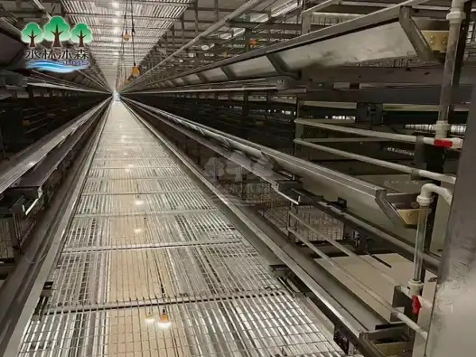 Why Choose 8 Level Egg Chicken Cage for Higher Productivity